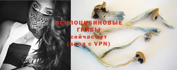 молекула духа Алексин