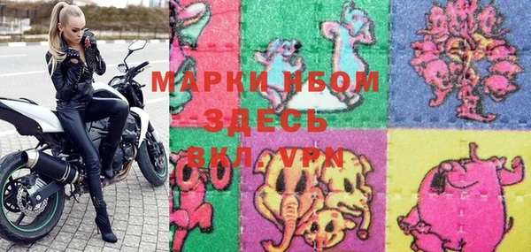 шишки Абаза