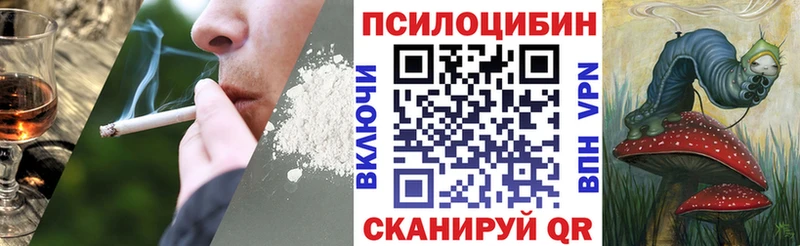 Псилоцибиновые грибы Psilocybe  Камбарка 